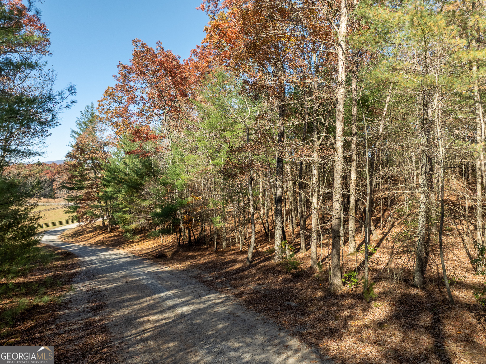 Lot 35 Spring Camp Road Ellijay, GA 30536 - Photo 9 of 34