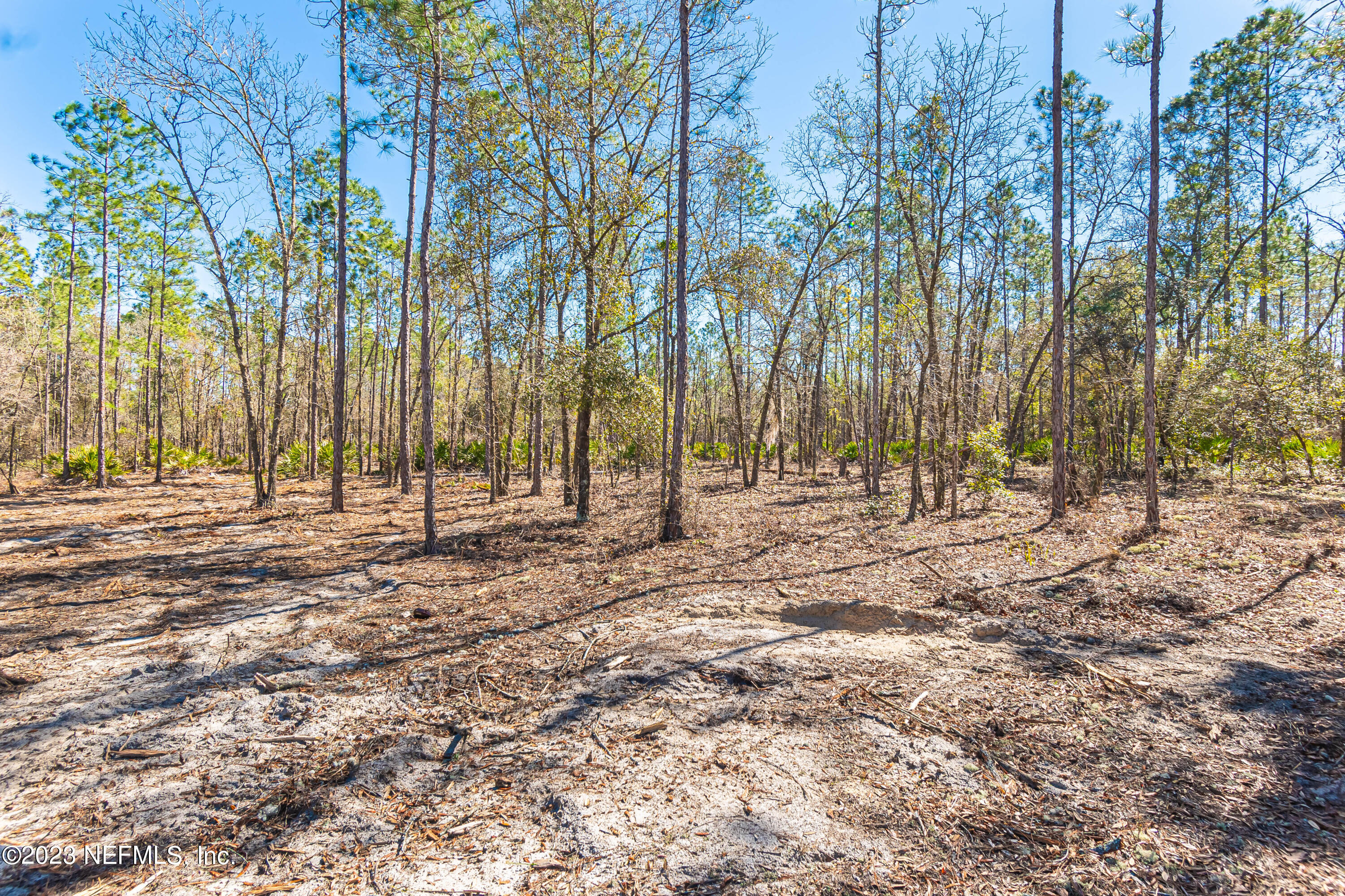 Lot 4 Stokes Road Macclenny, FL 32063 - Photo 7 of 17 untitled-3427