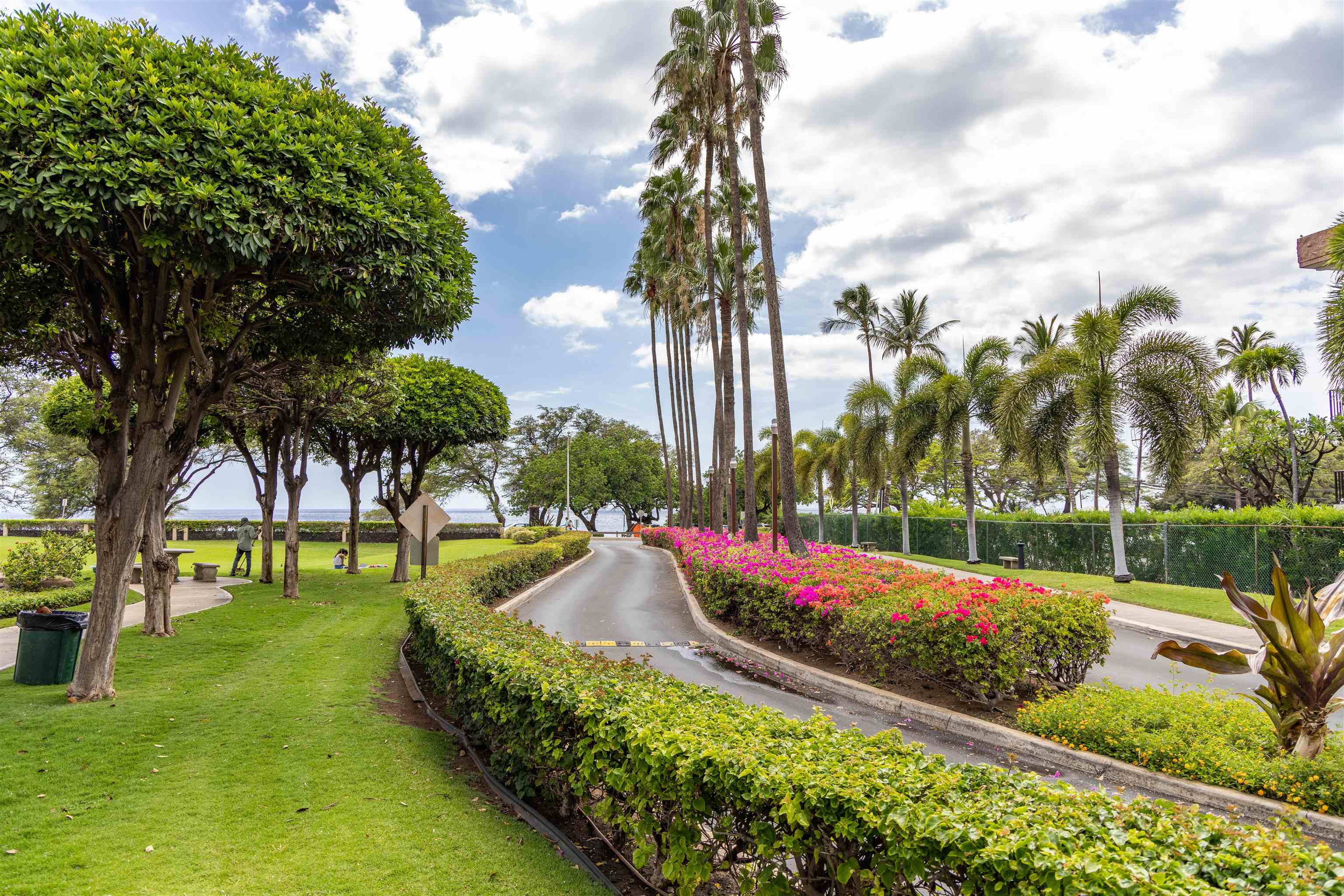 2695 South Kihei Road, Unit 9209 Kihei, HI 96753 - Photo 3 of 50 a view of a garden with a fountain
