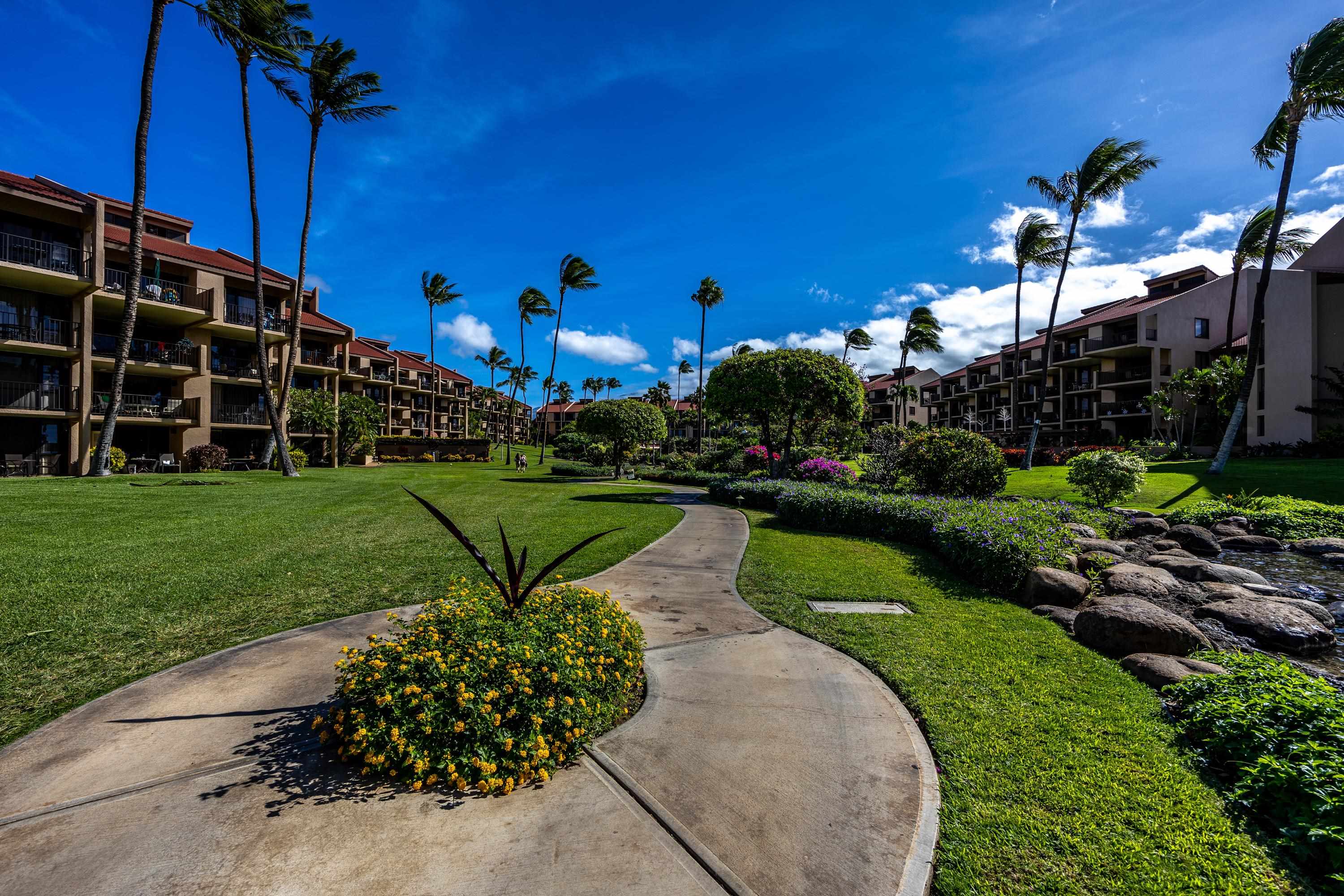 2695 South Kihei Road, Unit 9209 Kihei, HI 96753 - Photo 48 of 50 a view of a garden