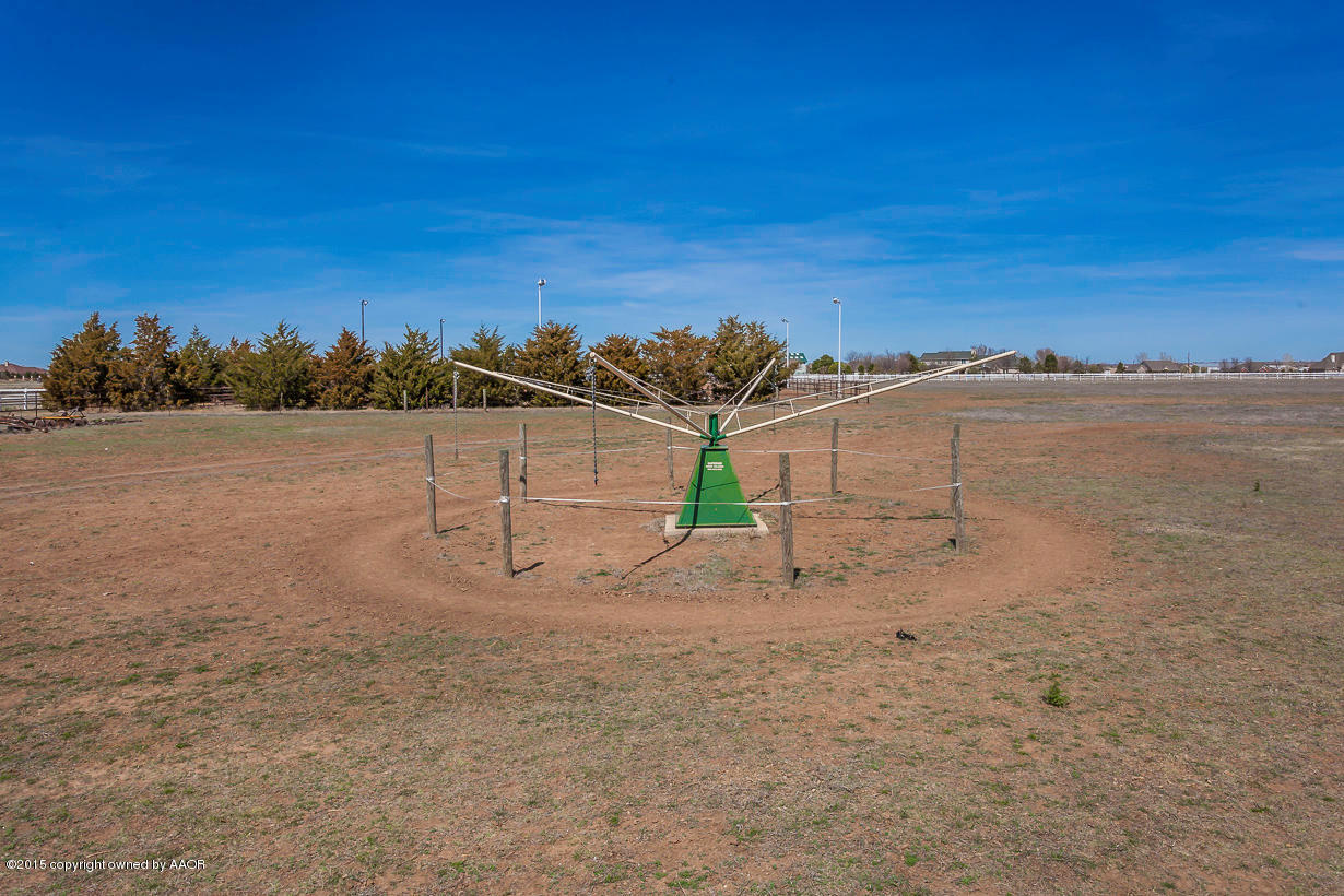 9100 Blackhawk Road Amarillo, TX 79119 - Photo 54 of 77 Horse Walker