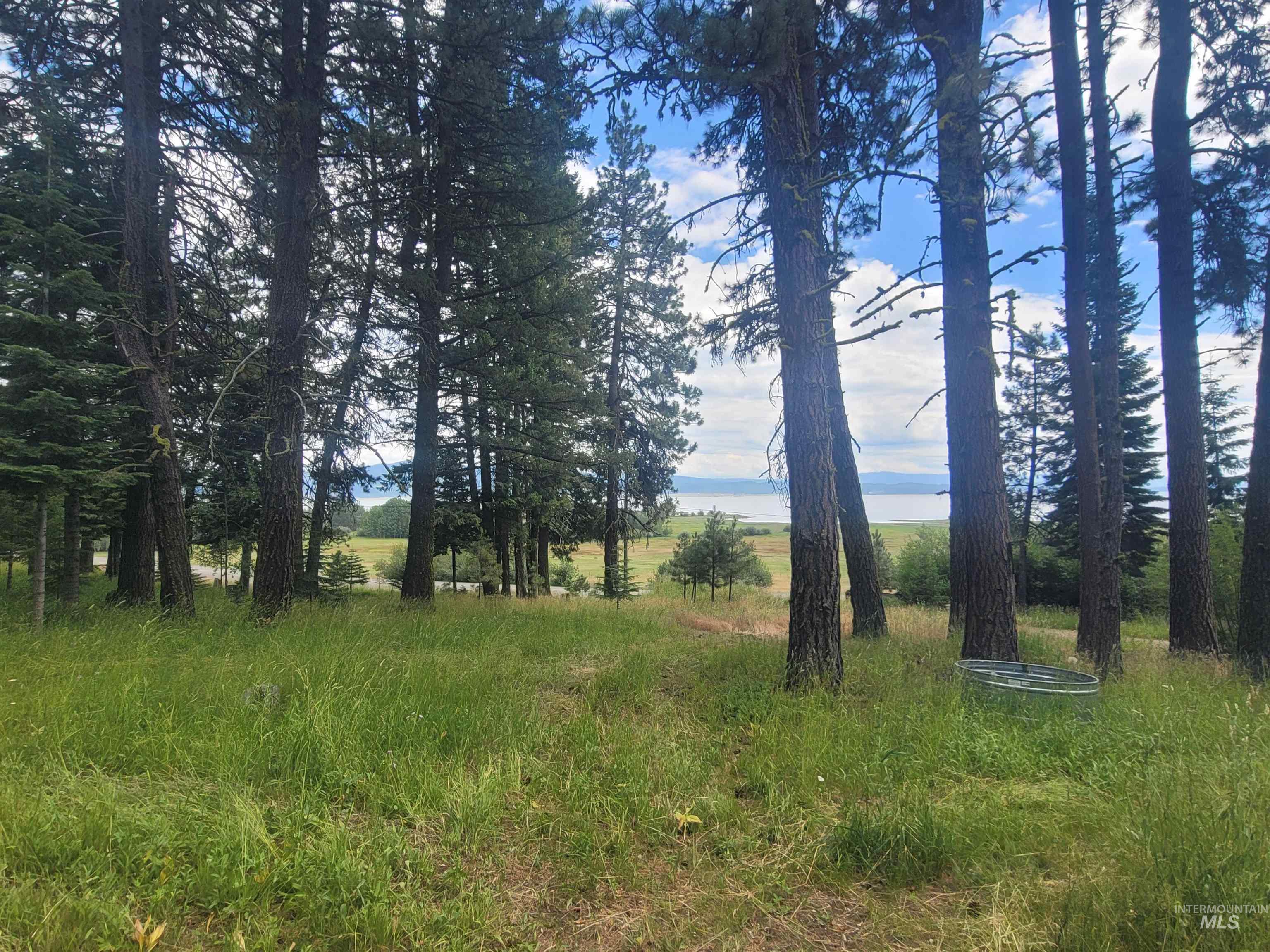 1629 West Mountain Road Cascade, ID 83611 - Photo 11 of 48