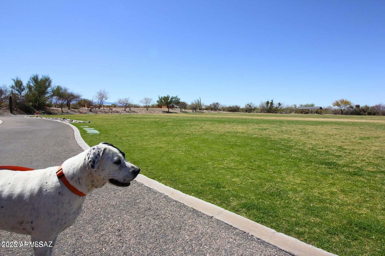 17407 South Purple Mesa Trail Vail, AZ 85641 - Photo 47 of 54 Grassy Park for Pets