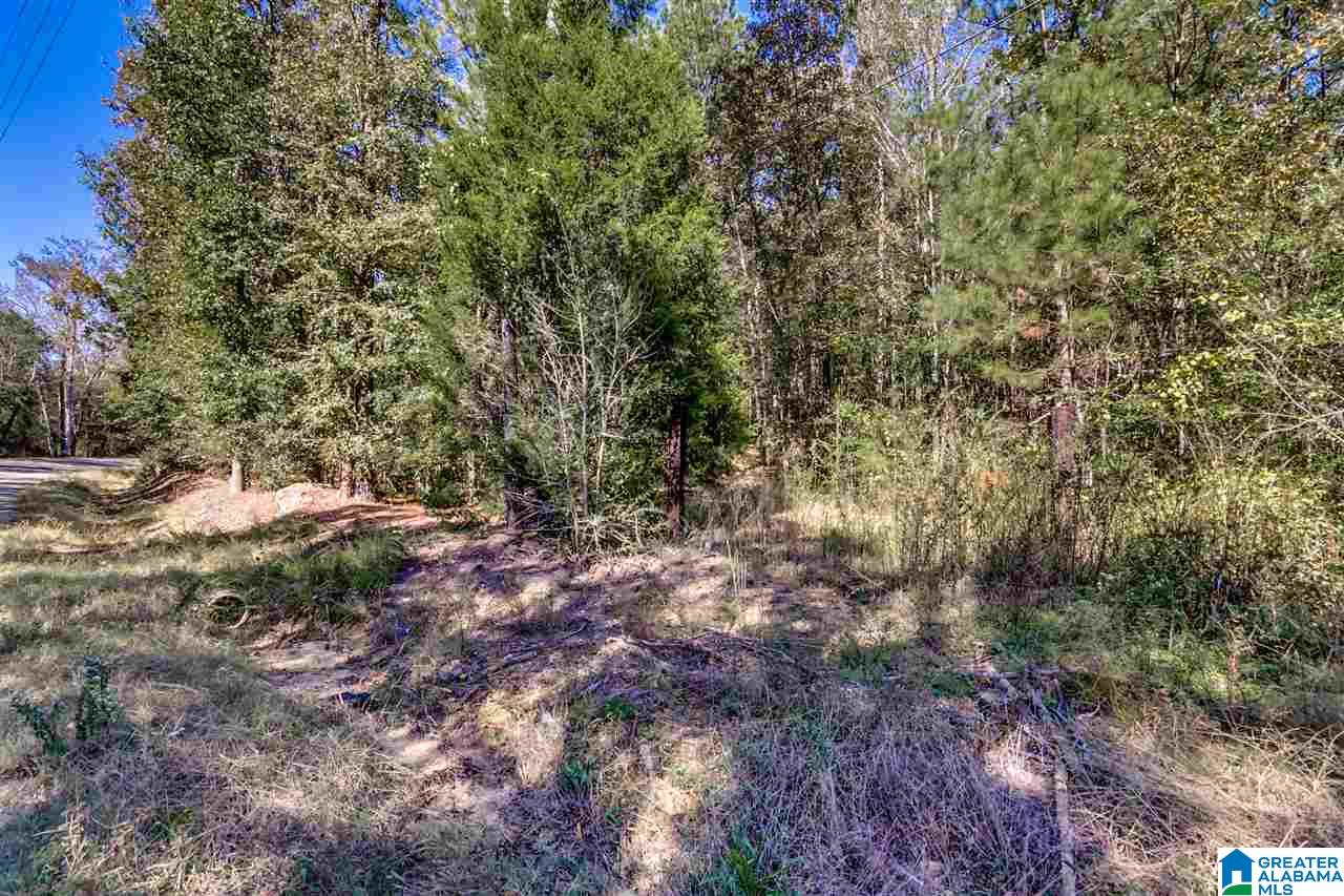 384 Wolf Pond Road, Unit 1 Talladega, AL 35160 - Photo 8 of 26