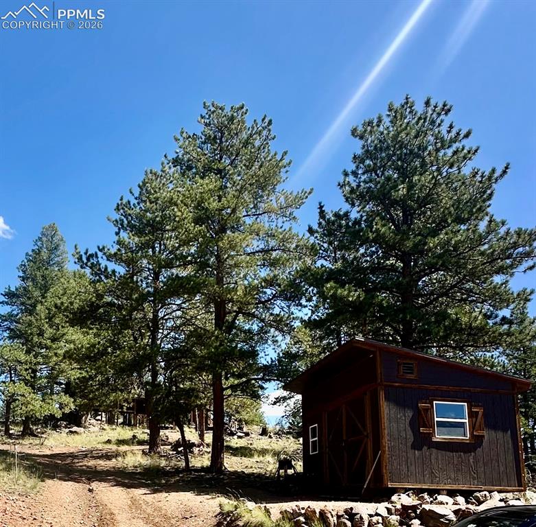 1176 Trail Creek Road Lake George, CO 80827 - Photo 9 of 34
