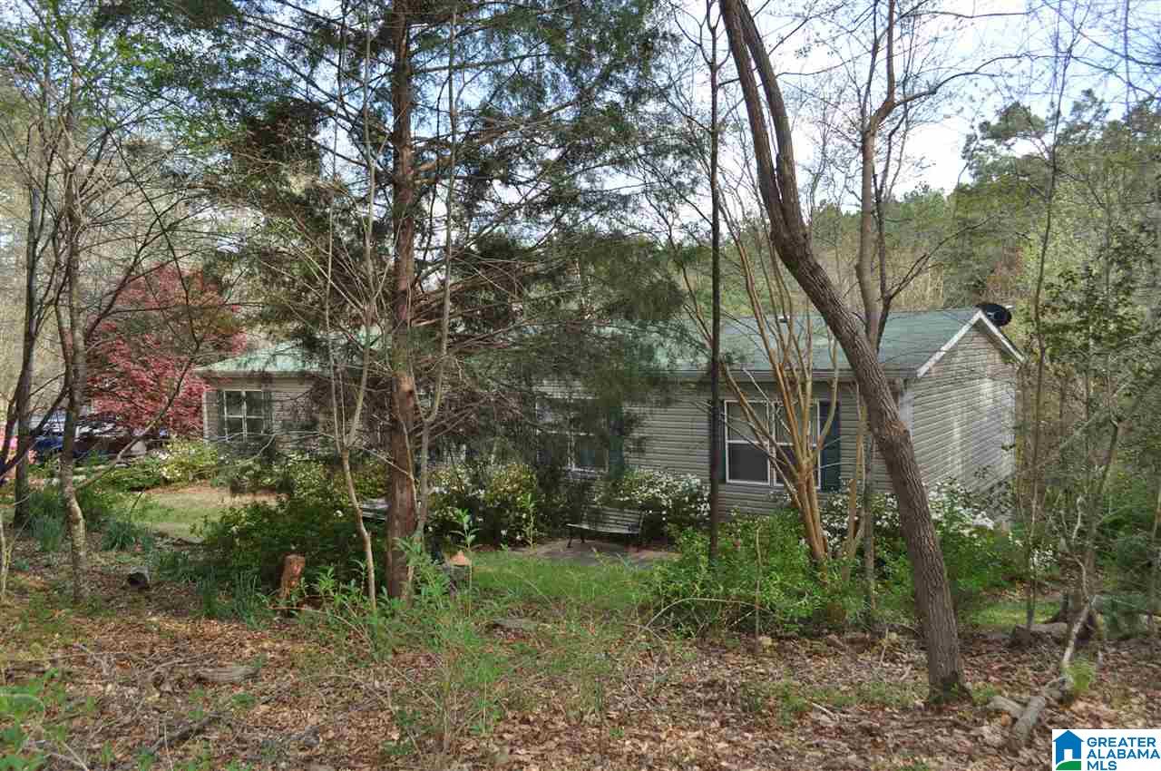 36 River Run Circle Lineville, AL 36266 - Photo 5 of 31