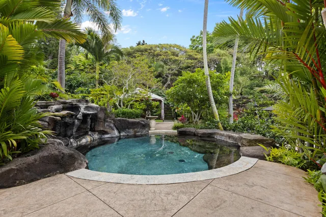 a view of a backyard with plants and outdoor seating