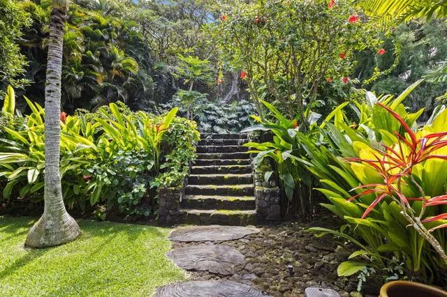 a view of a garden with plants