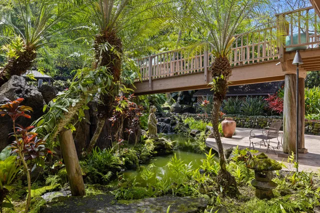 a view of a house with a tree park plants and large trees
