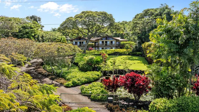 a view of a flower in a garden