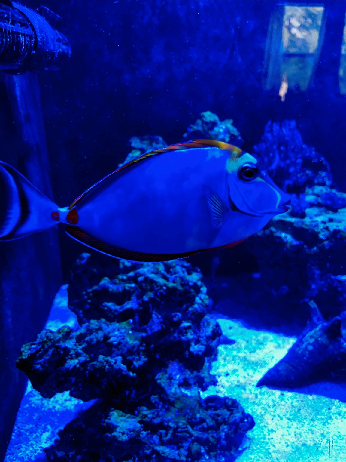 195 Rim Rock Road Onalaska, TX 77360 - Photo 14 of 45