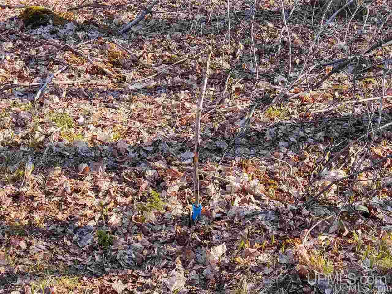 Tbd Sandstone B Road Lake Linden, MI 49945 - Photo 29 of 50
