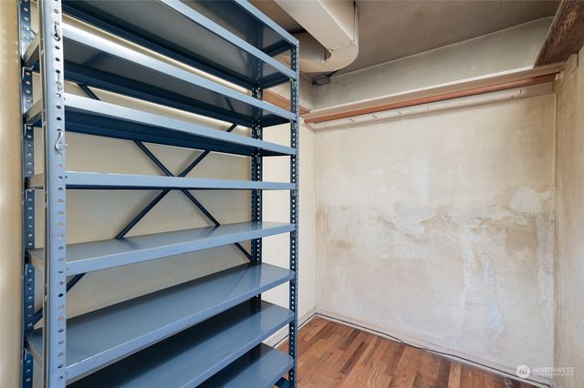 a view of a garden with plants