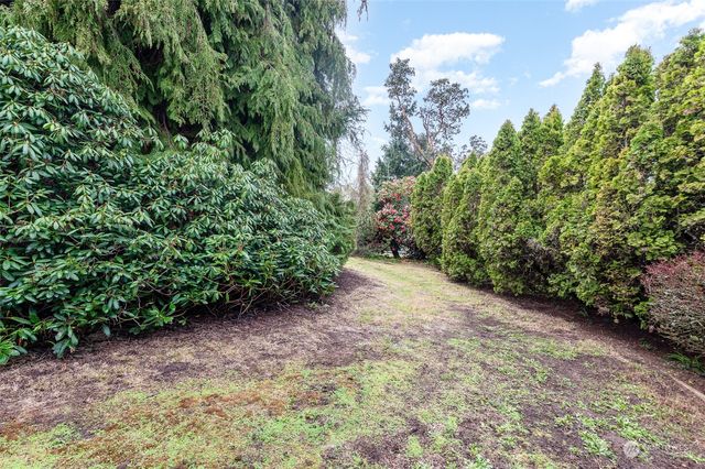 a view of a house with backyard and trees