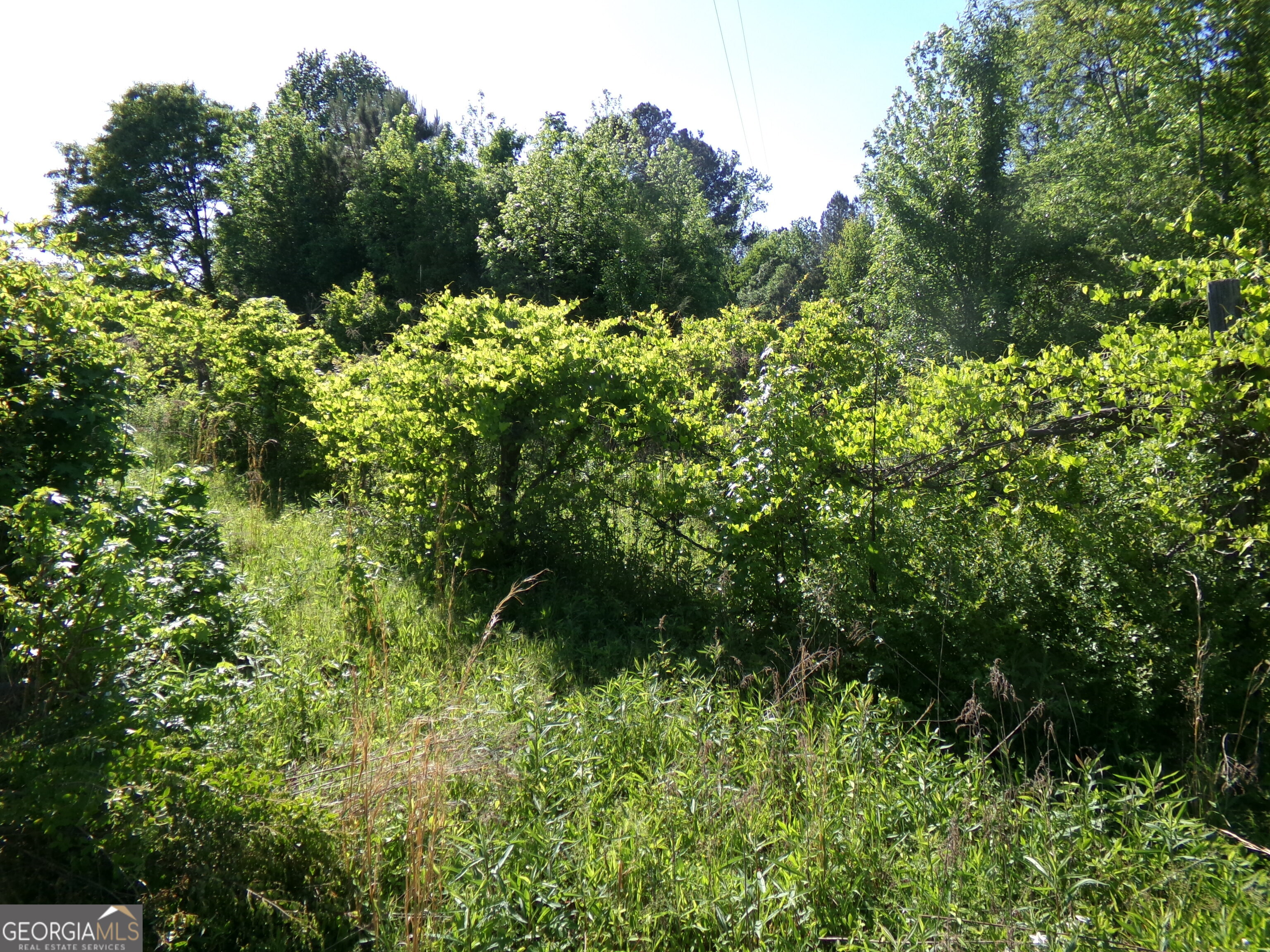 3905 Highway 138 Covington, GA 30014 - Photo 11 of 40