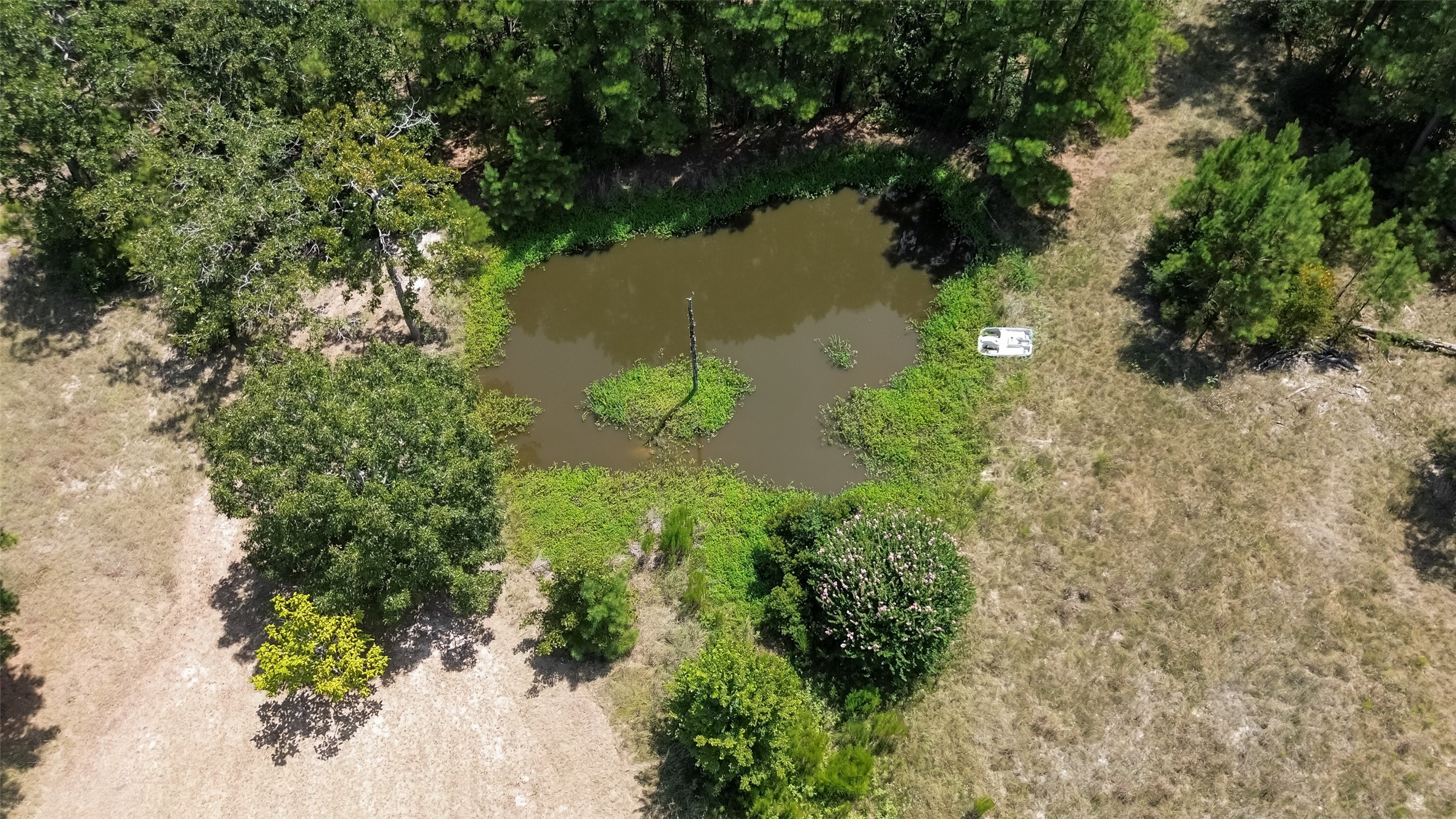 27 Pinedale Subdivision Road Huntsville, TX 77320 - Photo 19 of 22 Gallery Image 19