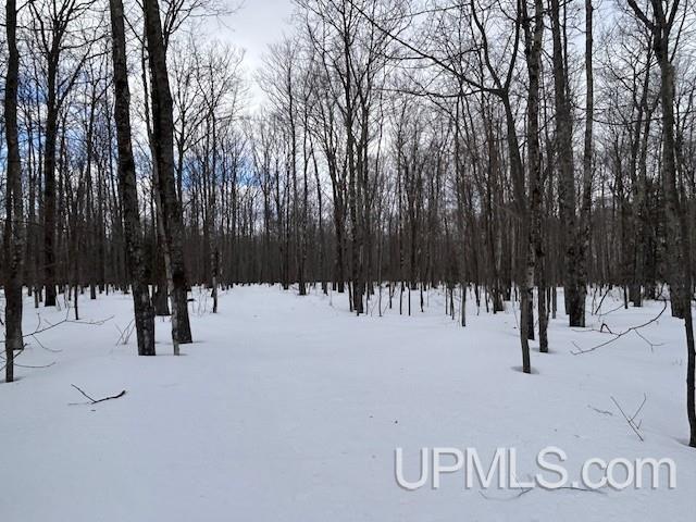 53554 North Superior Road Houghton, MI 49931 - Photo 20 of 41