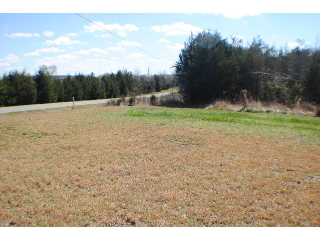 7010 Snow Camp Road Snow Camp, NC 27349 - Photo 3 of 22 Gallery Image 3