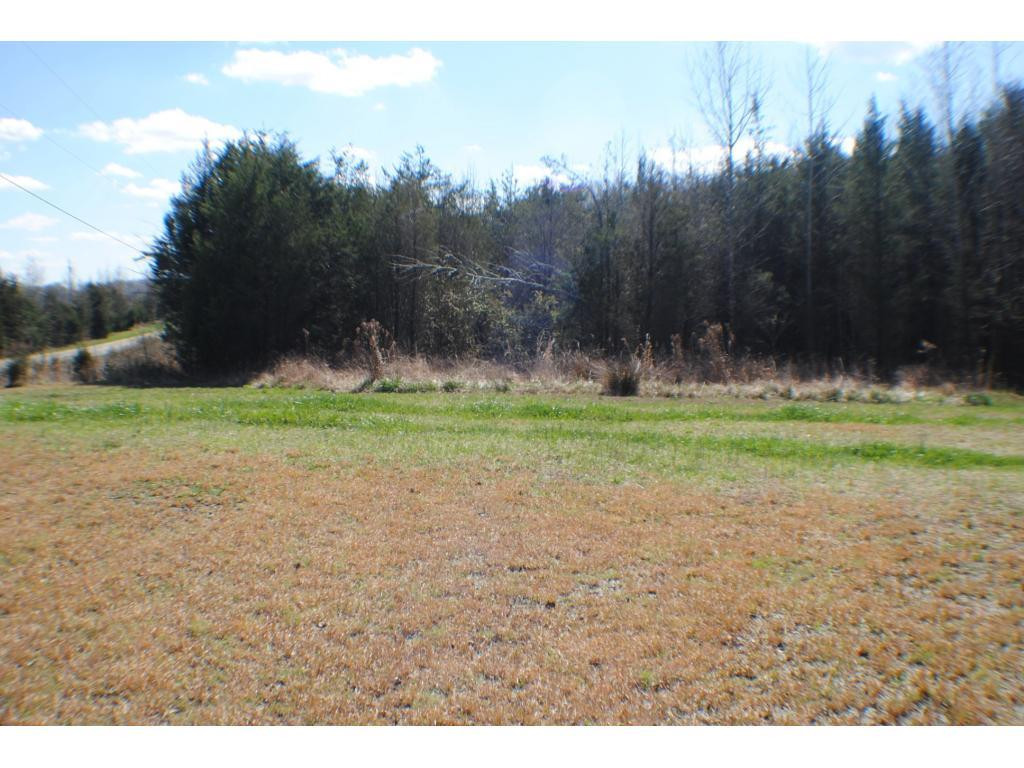 7010 Snow Camp Road Snow Camp, NC 27349 - Photo 4 of 22 Gallery Image 4