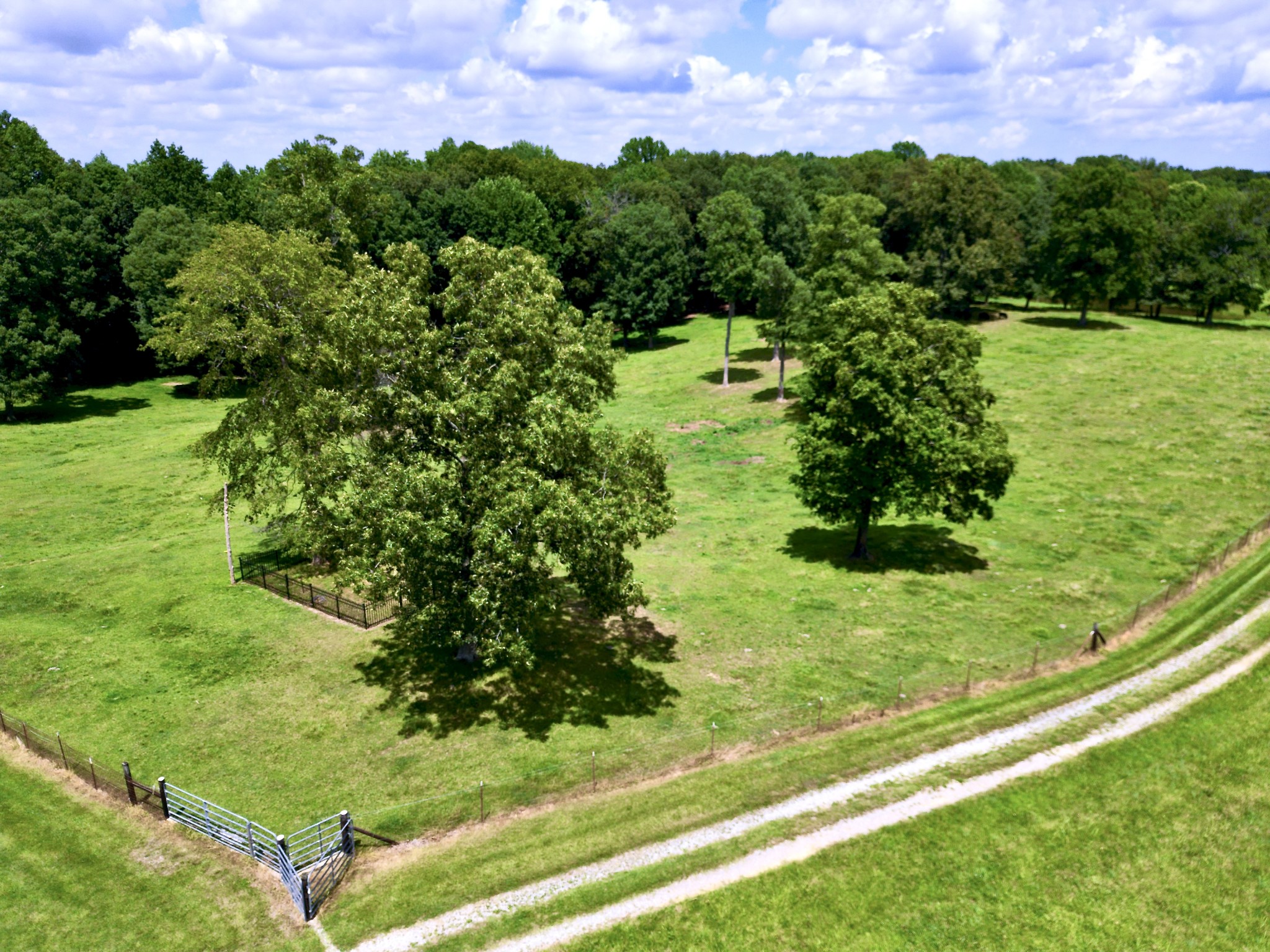 3225 Pinson School Road Greenbrier, TN 37073 - Photo 82 of 96