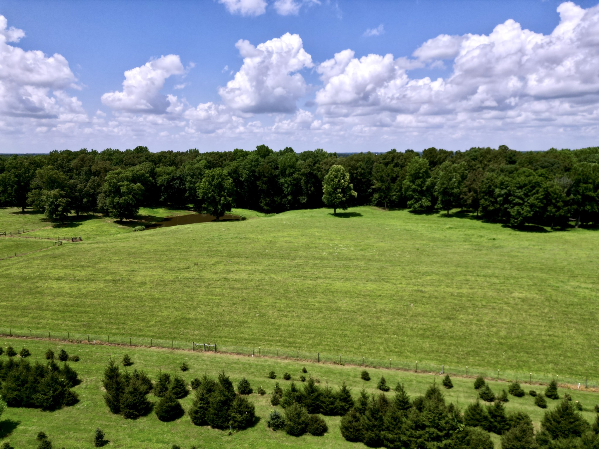 3225 Pinson School Road Greenbrier, TN 37073 - Photo 86 of 96