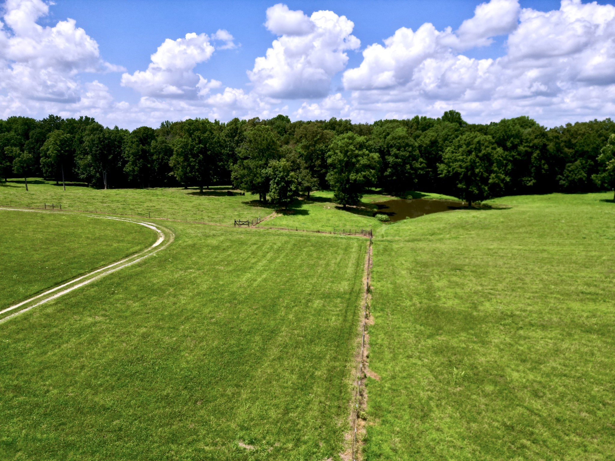 3225 Pinson School Road Greenbrier, TN 37073 - Photo 89 of 96