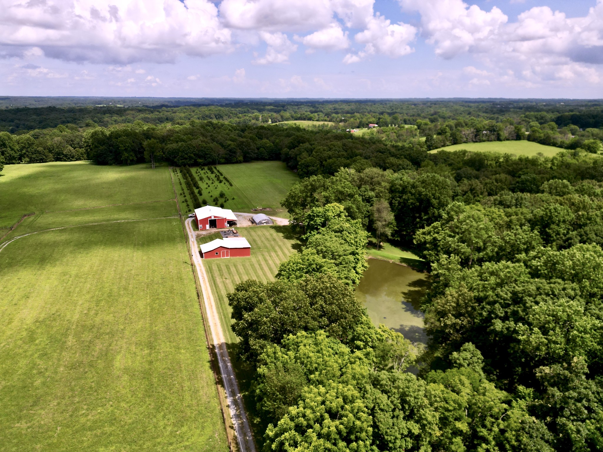 3225 Pinson School Road Greenbrier, TN 37073 - Photo 95 of 96 a aerial view of a yard with a lake view