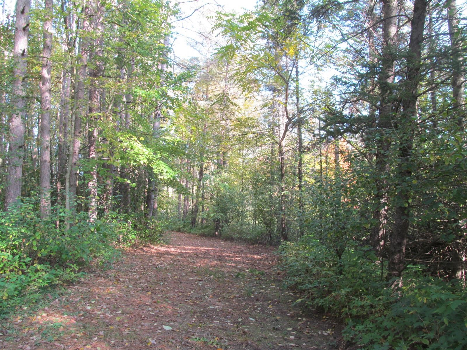 10080 East 50 Road Cadillac, MI 49601 - Photo 47 of 57