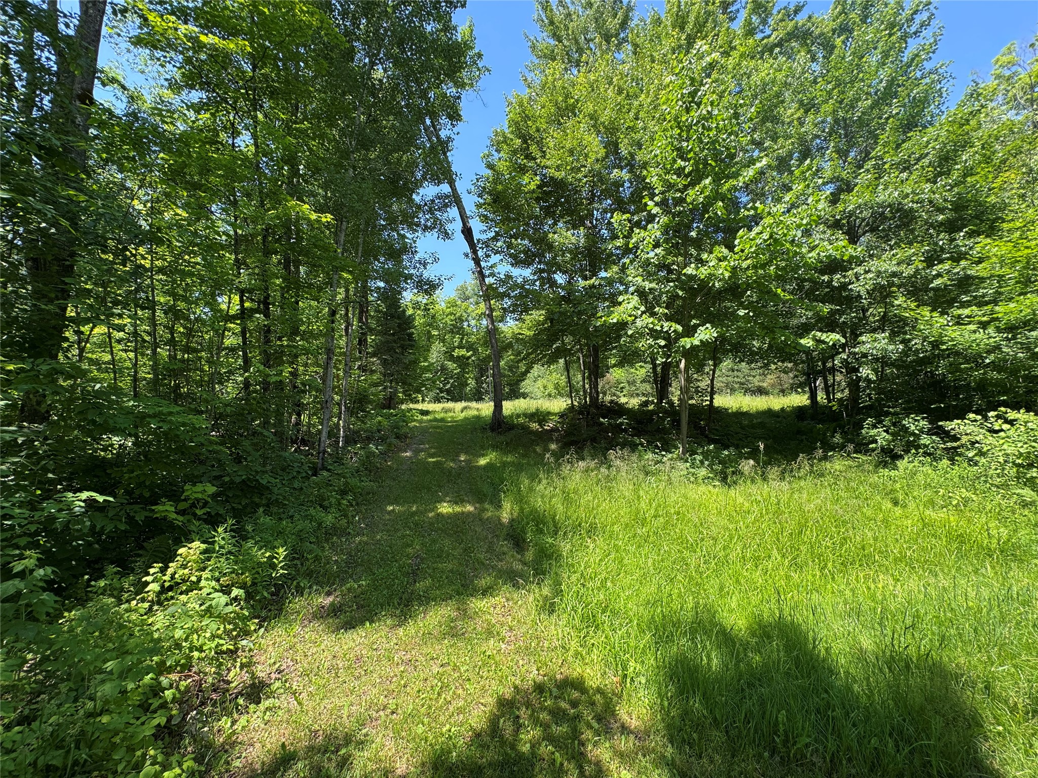 7154 West Mc Dermott Road Winter, WI 54896 - Photo 41 of 58