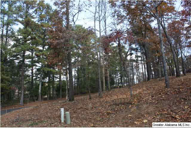 Peyton Place, Unit 3 Weaver, AL 36277 - Photo 1 of 40