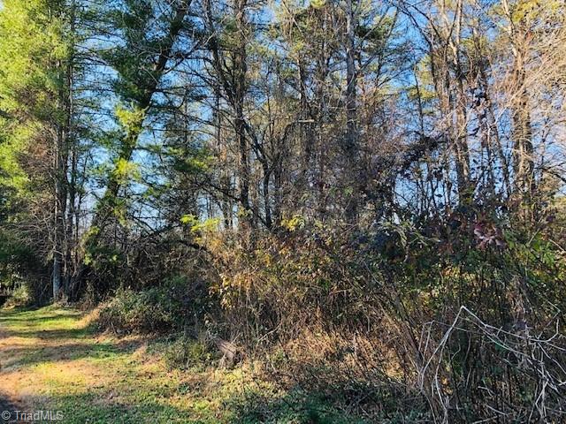 0 Turkey Ford Road Dobson, NC 27017 - Photo 1 of 2 Gallery Image 1