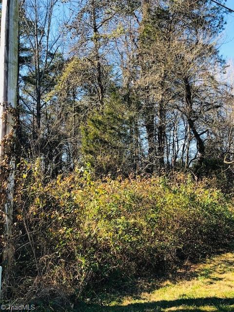 0 Turkey Ford Road Dobson, NC 27017 - Photo 2 of 2 Gallery Image 2
