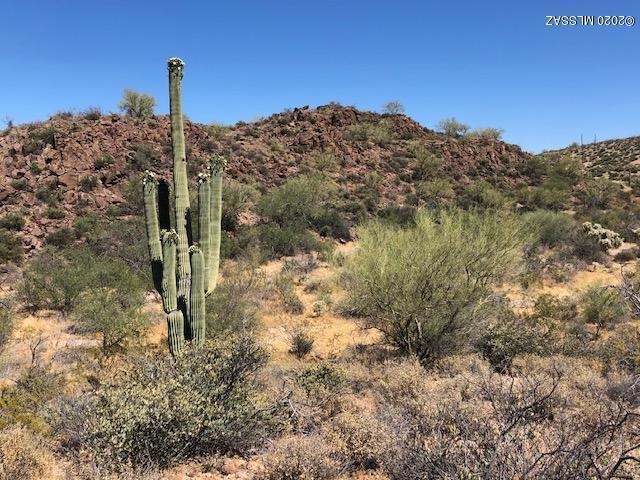 North Park Ridge Place Tucson, AZ 85743 - Photo 3 of 10