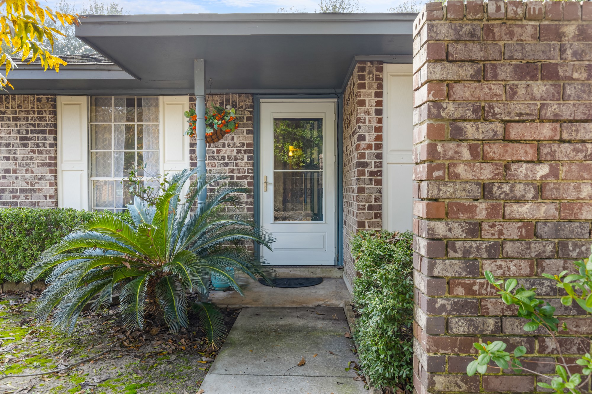 3622 Beau Lane Houston, TX 77039 - Photo 2 of 13 a potted plant in front of a house