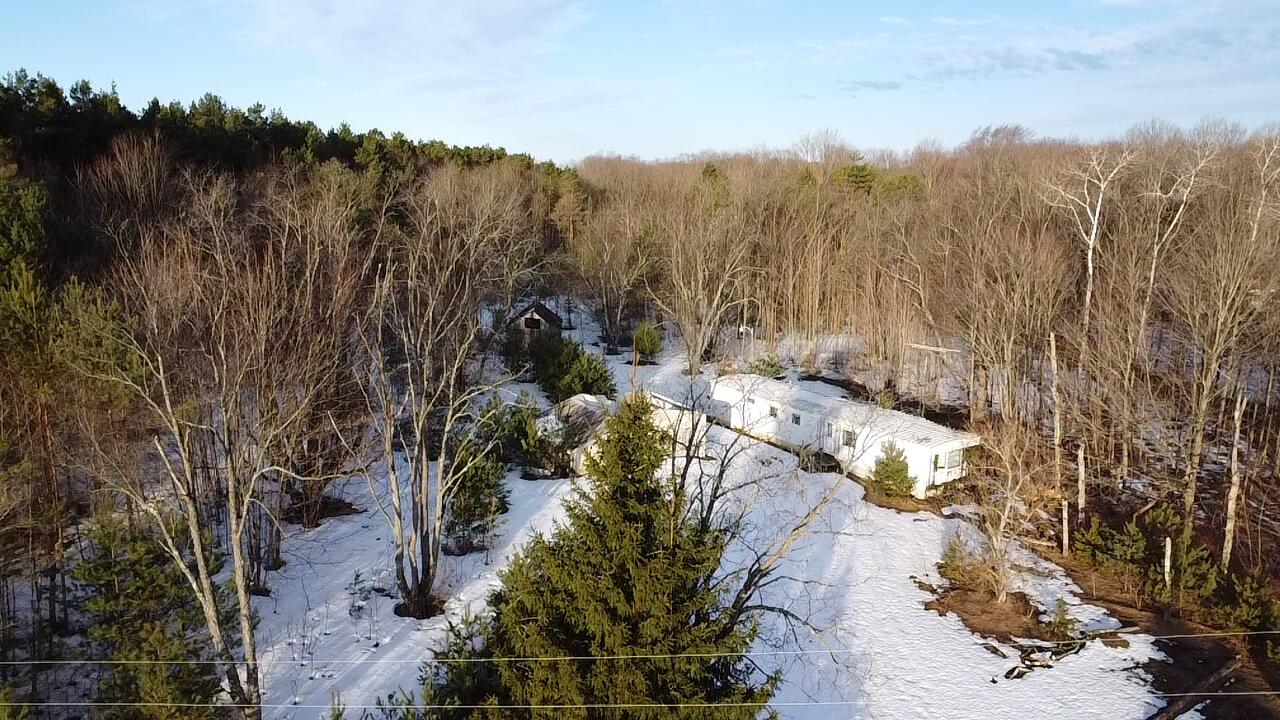 5766 Wallaker Road Benzonia, MI 49616 - Photo 1 of 17 2026-03-09-09-01-44-948