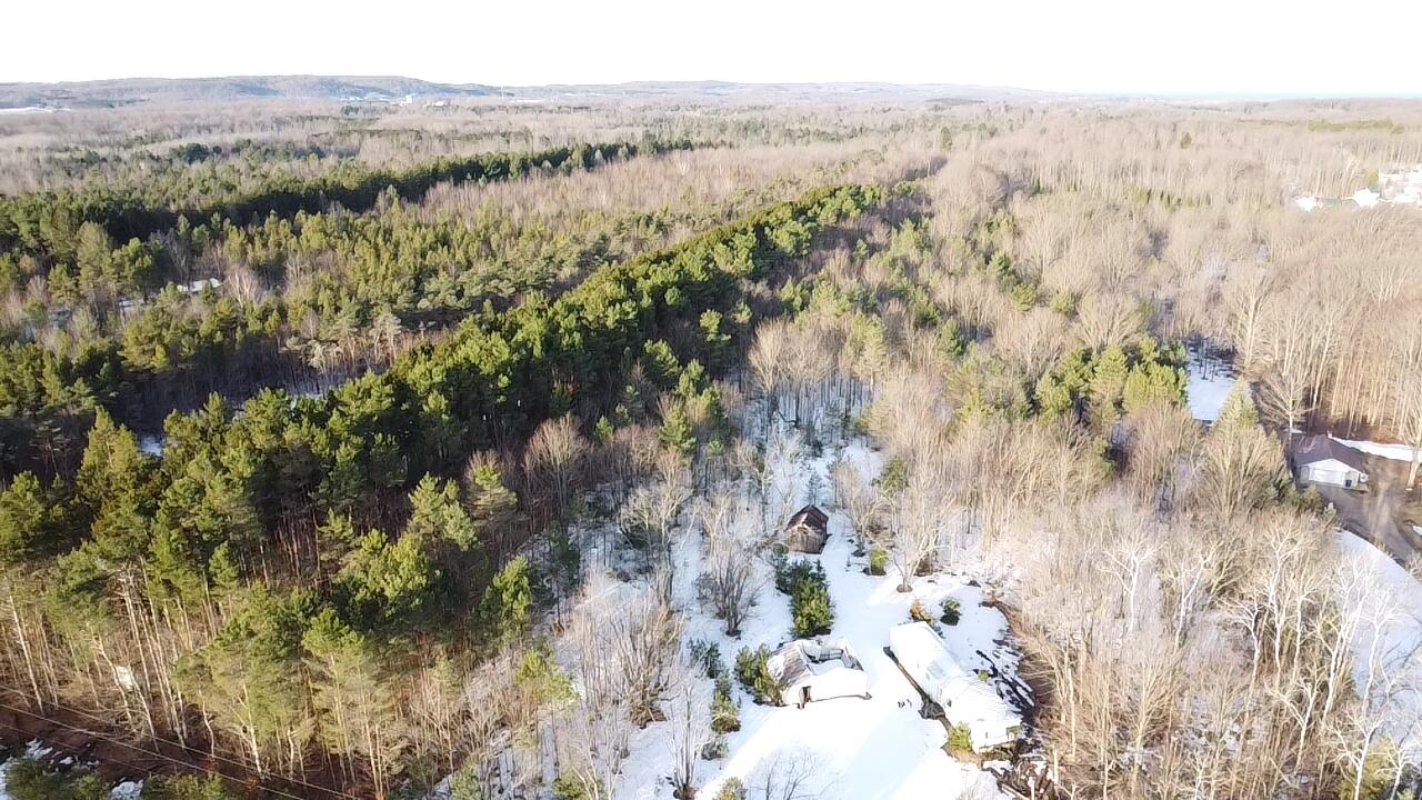 5766 Wallaker Road Benzonia, MI 49616 - Photo 2 of 17 2026-03-09-09-03-05-648