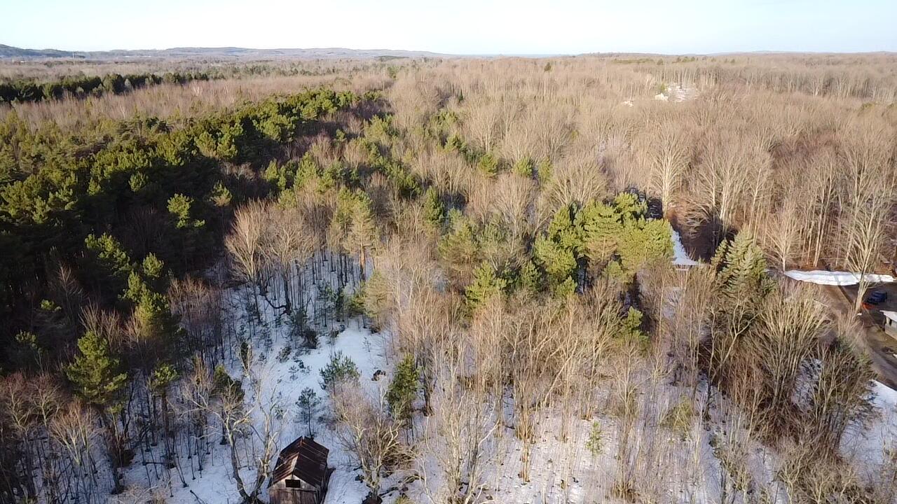 5766 Wallaker Road Benzonia, MI 49616 - Photo 3 of 17 2026-03-09-09-02-38-911