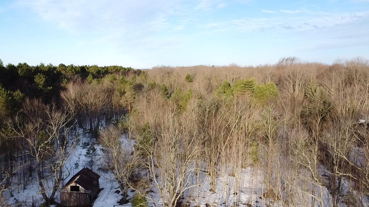 5766 Wallaker Road Benzonia, MI 49616 - Photo 4 of 17 2026-03-09-09-05-57-640