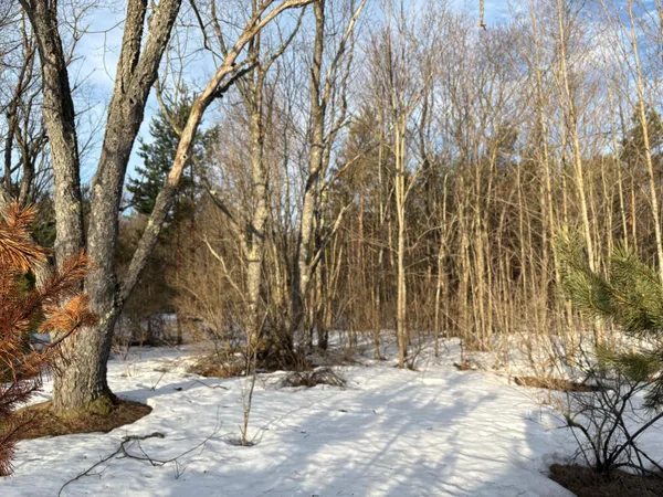 $124,000 | 5766 Wallaker Road, Benzonia, MI 49616