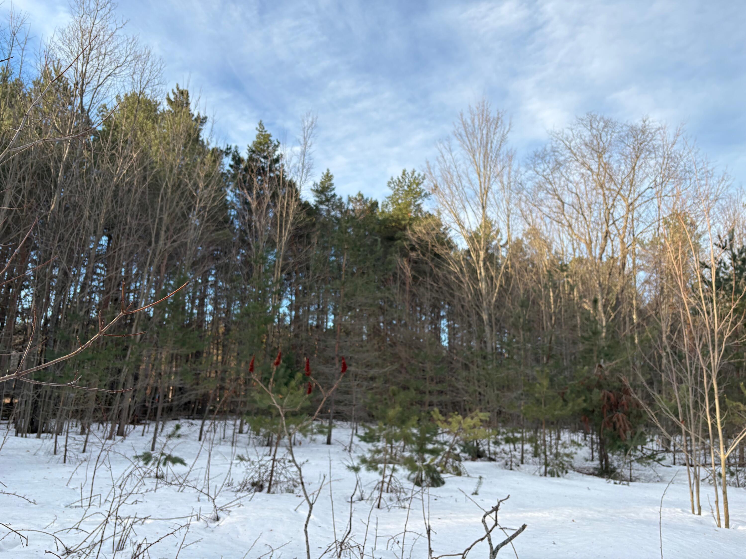 5766 Wallaker Road Benzonia, MI 49616 - Photo 7 of 17 IMG_8163