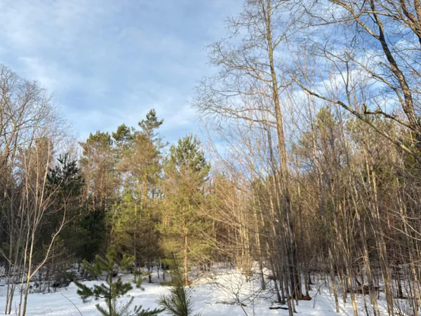 $124,000 | 5766 Wallaker Road, Benzonia, MI 49616