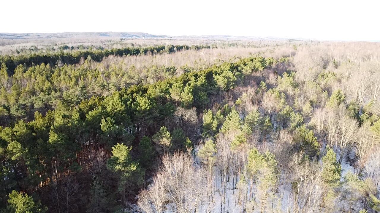 5766 Wallaker Road Benzonia, MI 49616 - Photo 9 of 17 2026-03-09-09-06-33-560