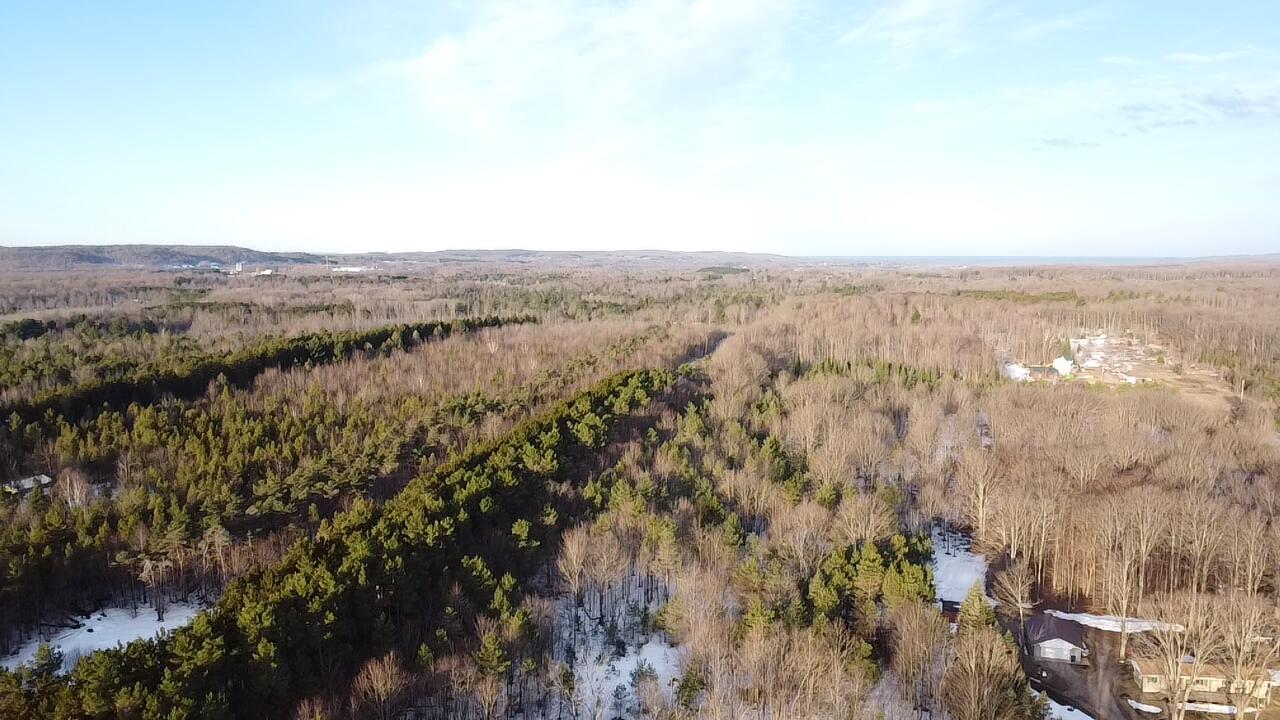 5766 Wallaker Road Benzonia, MI 49616 - Photo 10 of 17 2026-03-09-09-03-51-136