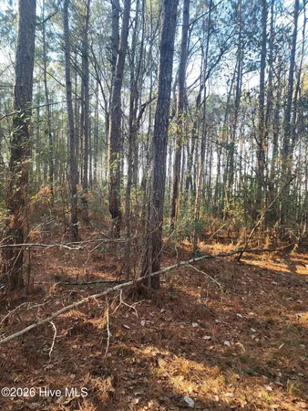 $64,000 | 210 Highway Off Rocky Point, Rocky Point, NC 28457