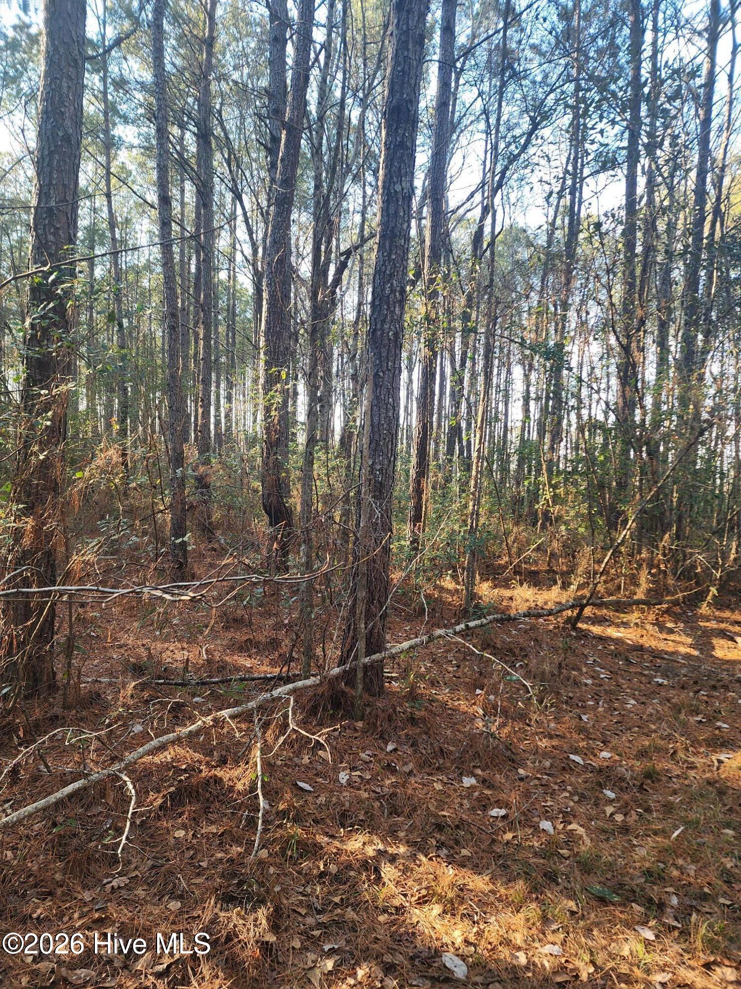 210 Highway Off Rocky Point Rocky Point, NC 28457 - Photo 1 of 1 Sylvia Stovall 2