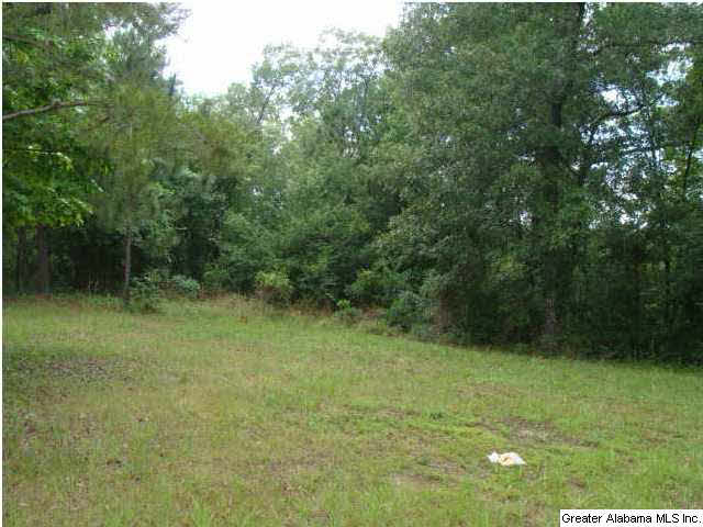325 Big Springs Road Woodstock, AL 35188 - Photo 14 of 18
