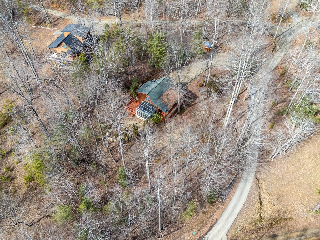 41 Carvers Vw Trail Murphy, NC 28906 - Photo 43 of 46