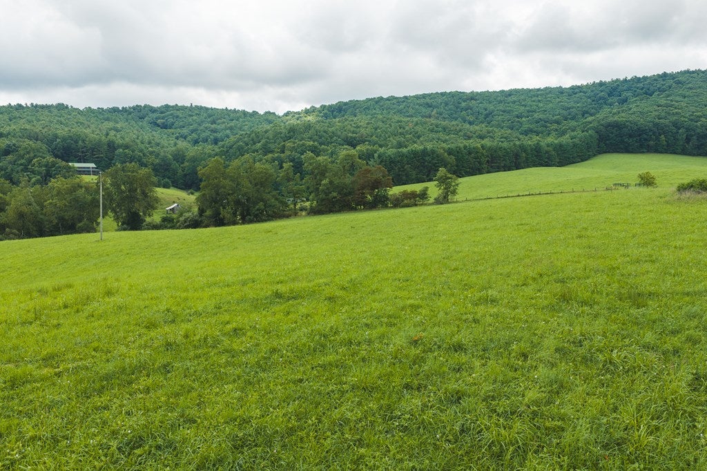 Lot 1 Ridgeview Road Northwest Floyd, VA 24091 - Photo 25 of 26 Gallery Image 25