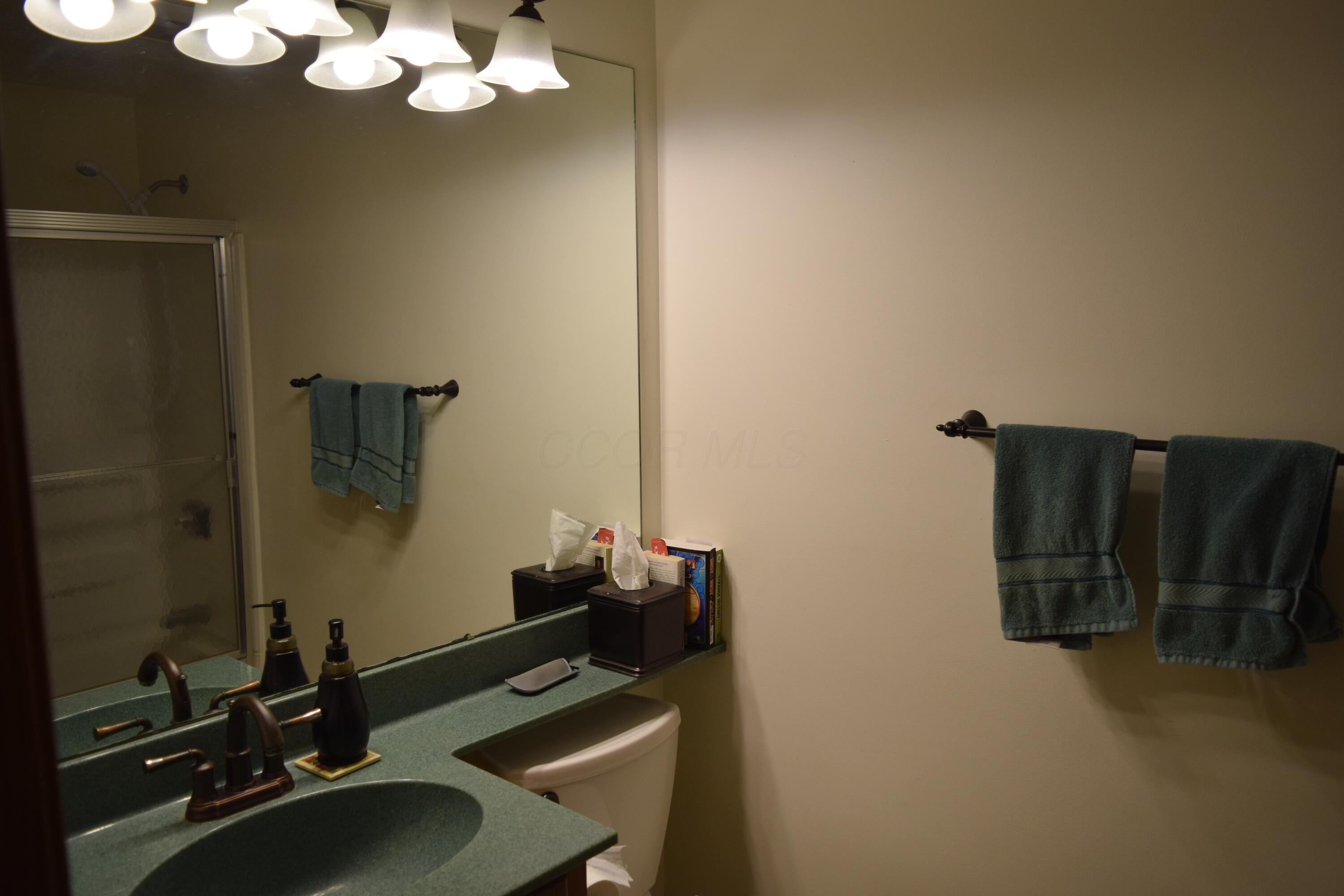 4465 Beard Road Sunbury, OH 43074 - Photo 28 of 40 Hall Bathroom