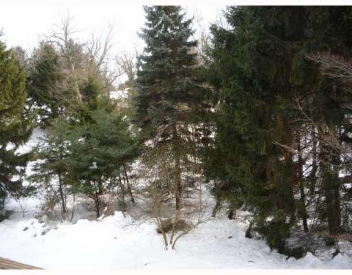 421 Sangree Road Pittsburgh, PA 15237 - Photo 16 of 18 View. View from the family room and the rear deck